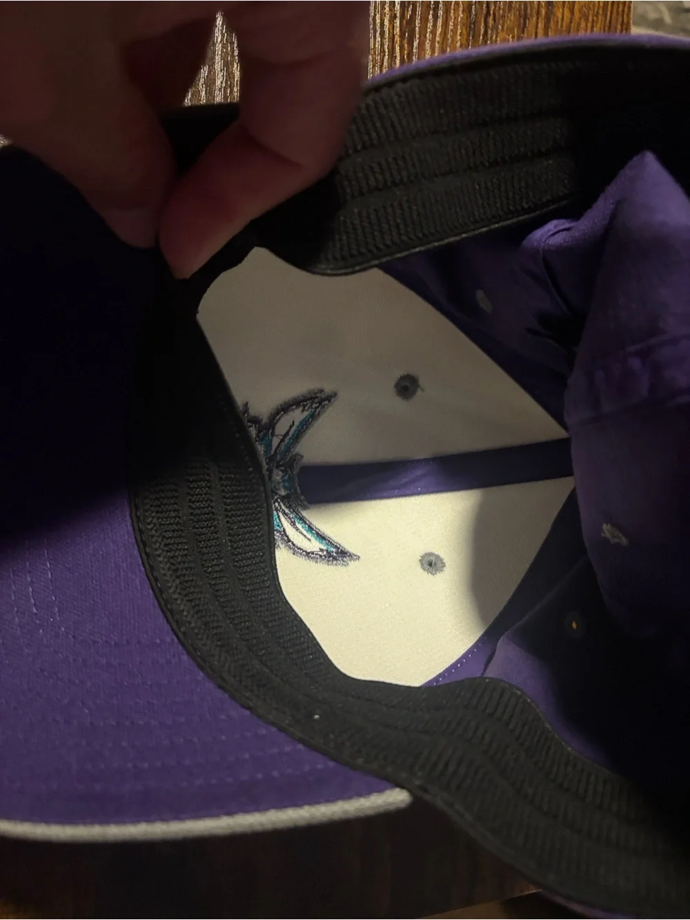 Jordan Charlotte Hornets Panel Cap in Purple, Cream & Gray